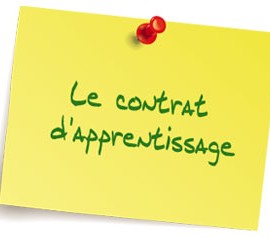 cotisation contrat apprentissage